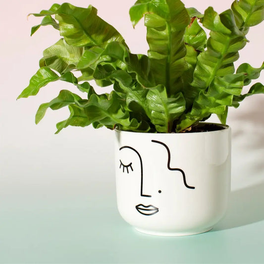 Cache pot visage avec design minimaliste, plante verte dans pot visage abstrait blanc