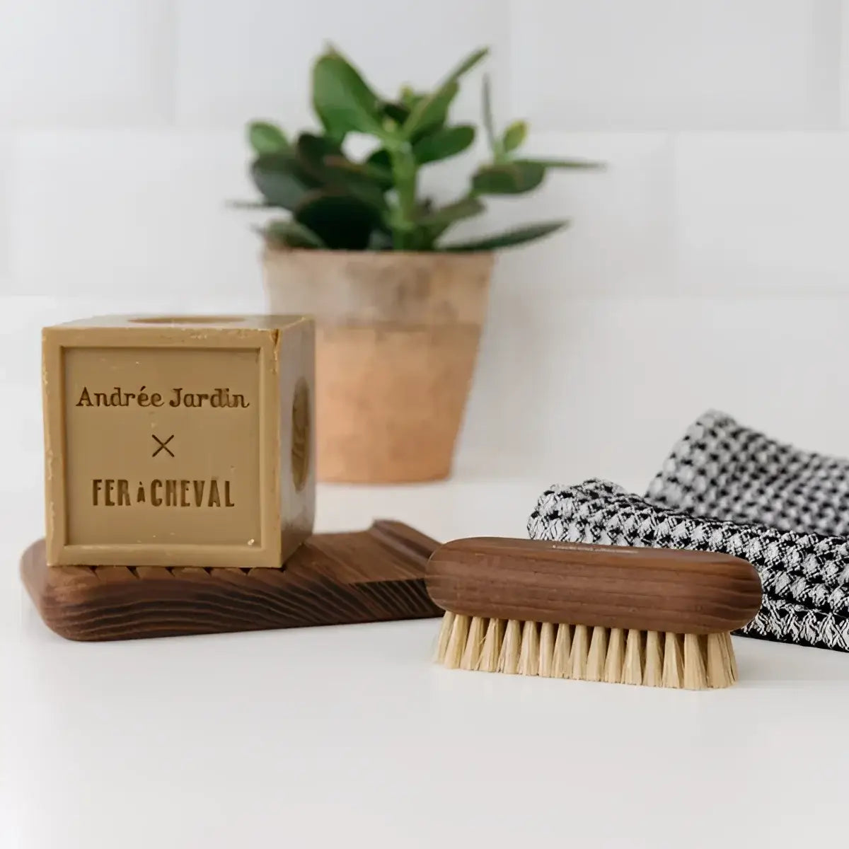 Brosse en bois noble à poils naturels du coffret artisanal Andrée Jardin x Fer de Cheval