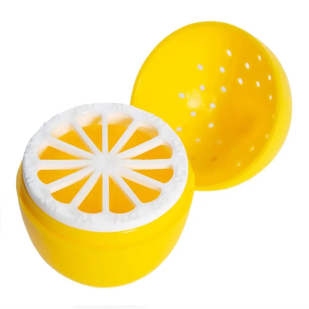 Désodorisant réfrigérateur petit citron x2 pour cuisine propre