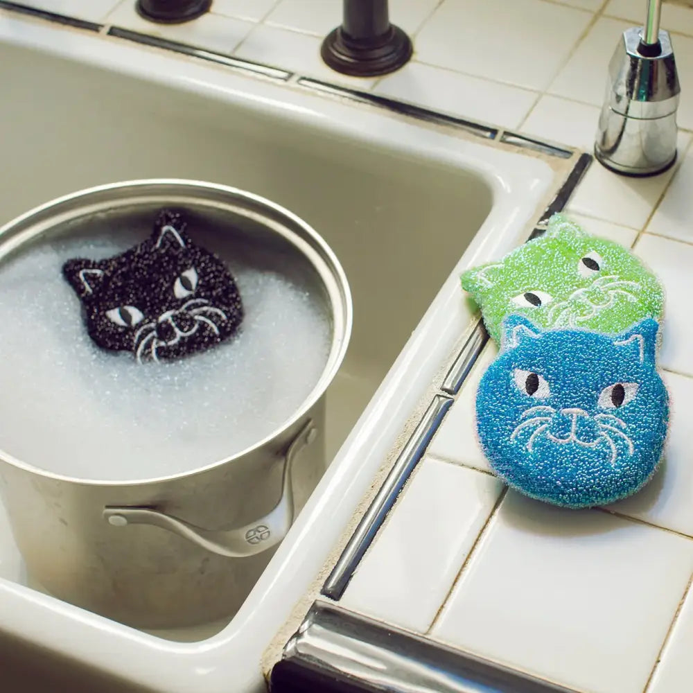 Éponges chats