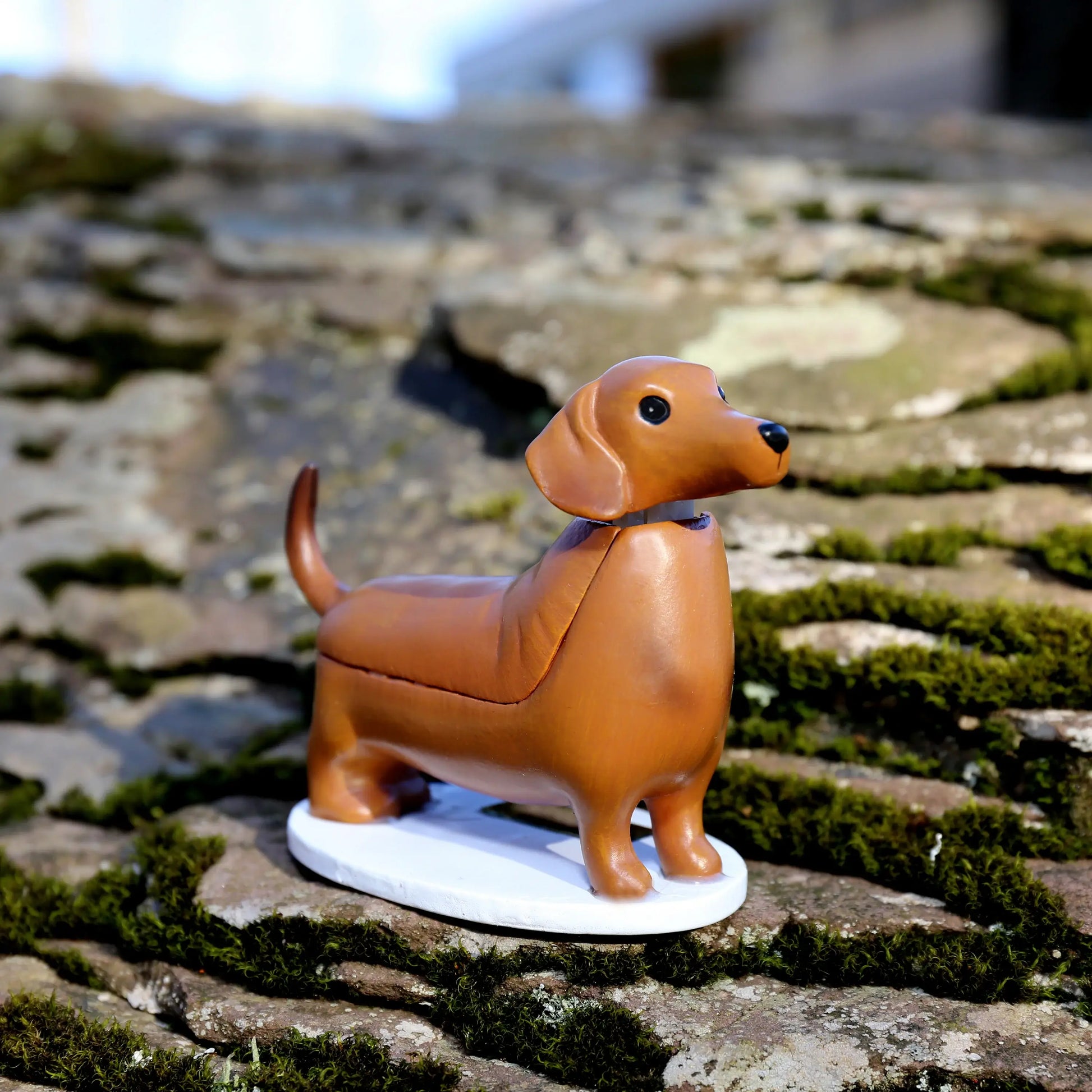 Figurine solaire teckel brun glossy sur base blanche