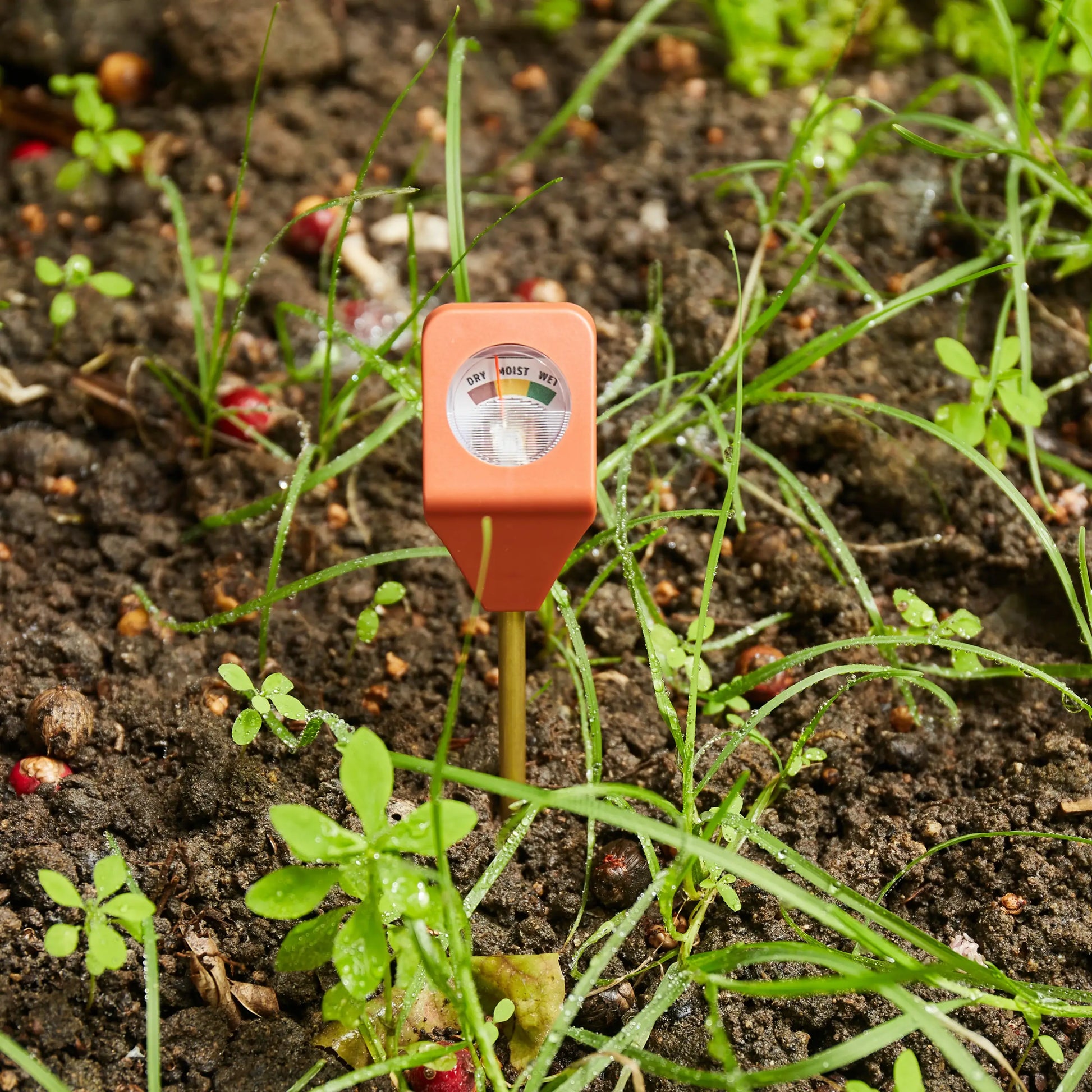 Hydromètre Plante orange pour routine d’arrosage, indicateur goutte d’eau sec/moist/humide
