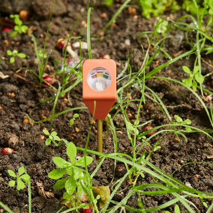 Hydromètre Plante orange pour routine d’arrosage, indicateur goutte d’eau sec/moist/humide