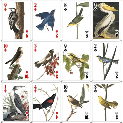 Jeu de cartes 3D oiseaux avec technologie 3D lenticulaire éducative