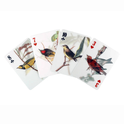 Jeu de cartes 3D oiseaux avec technologie 3D lenticulaire éducative