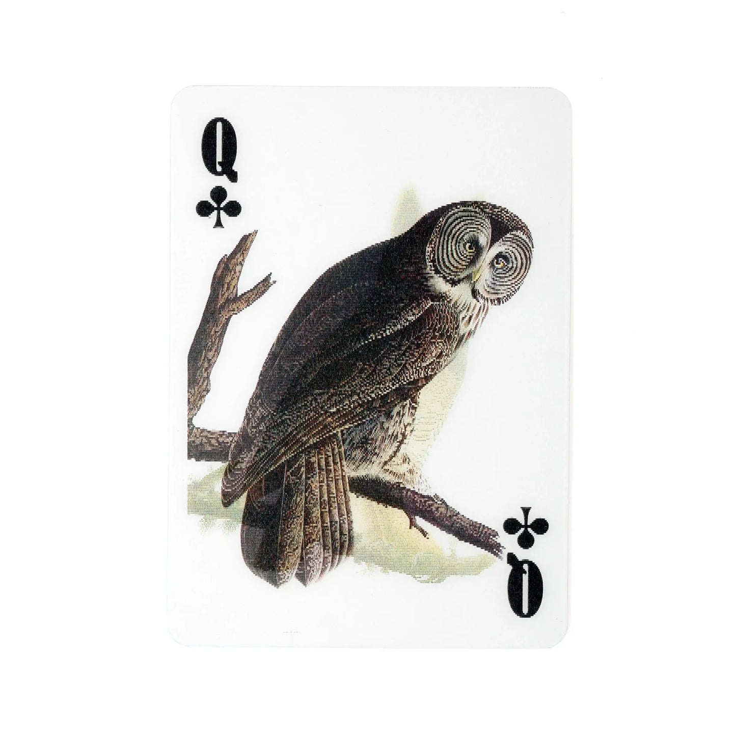 Carte reine de pique 3D oiseau hibou, technologie 3d lenticulaire