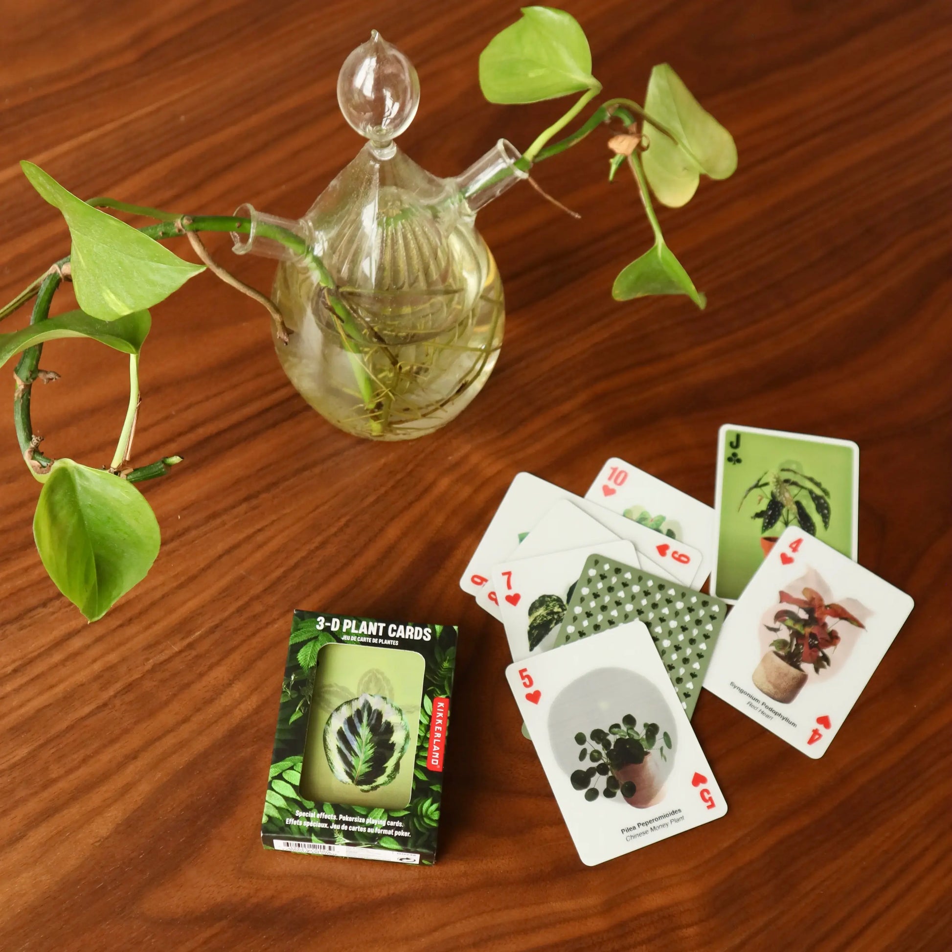 Jeu de Cartes 3D Plantes: cartes vertes 3D en boîte noire, effet visuel saisissant