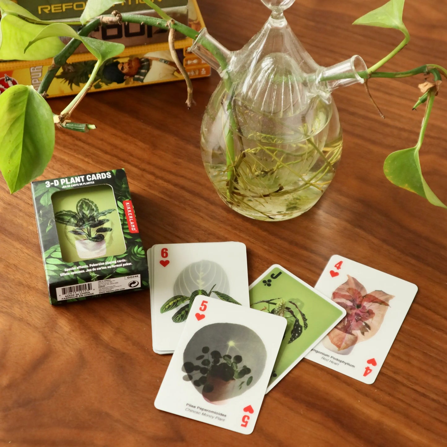 Jeu De Cartes 3d Plantes : cartes vertes 3D avec effet visuel saisissant
