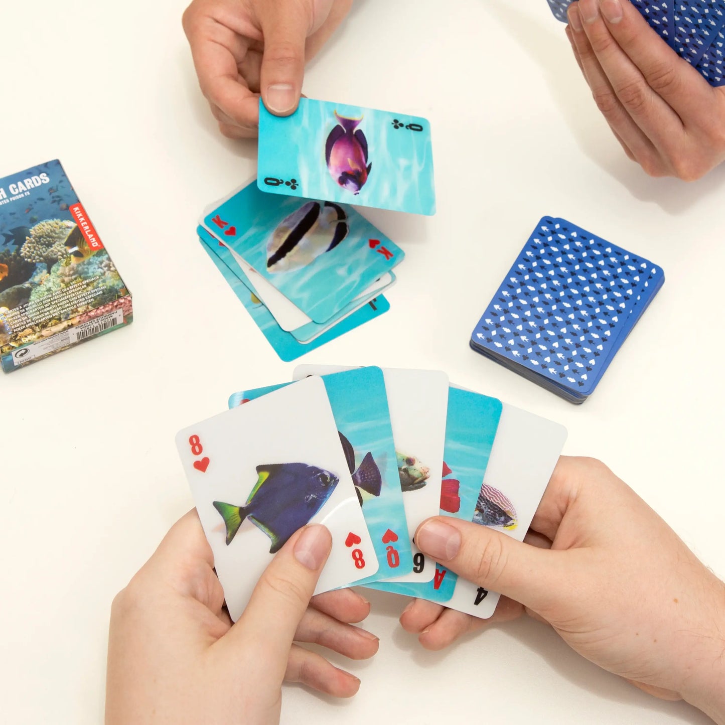 Cartes 3D poissons tropicales bleues en jeu, expérience sensorielle compacte