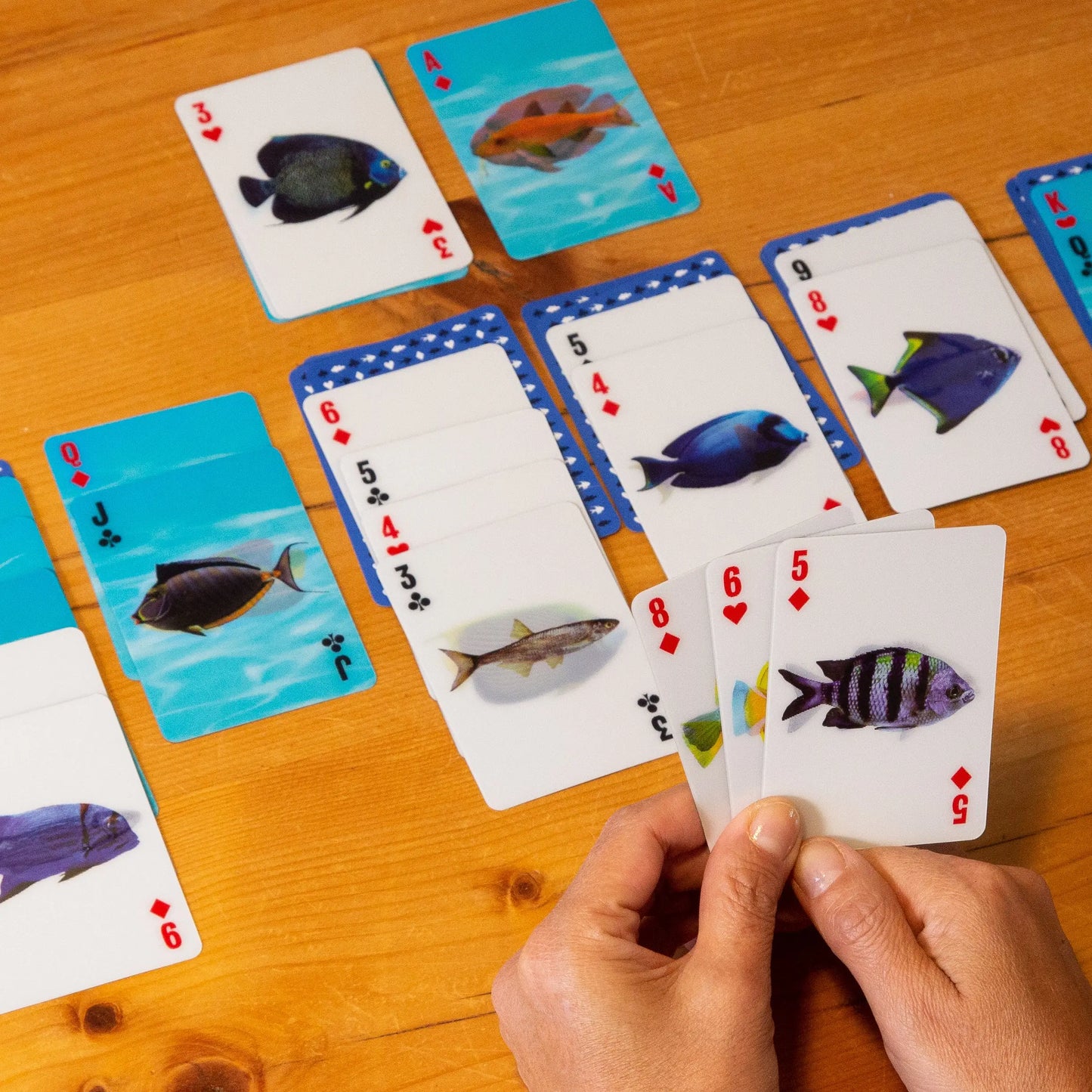 Jeu de cartes 3D poissons avec designs colorés sur bois, format compact