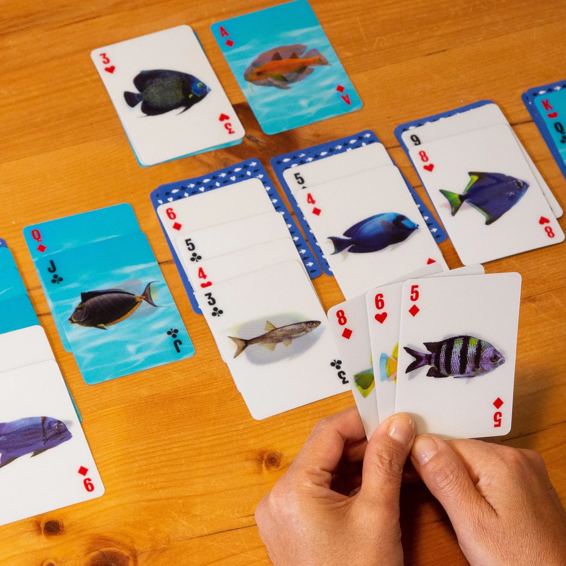 Jeu de cartes 3D poissons avec designs colorés sur bois, format compact