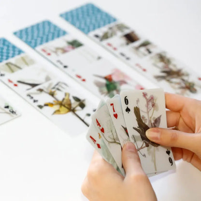 Jeu De Cartes 3d Oiseaux