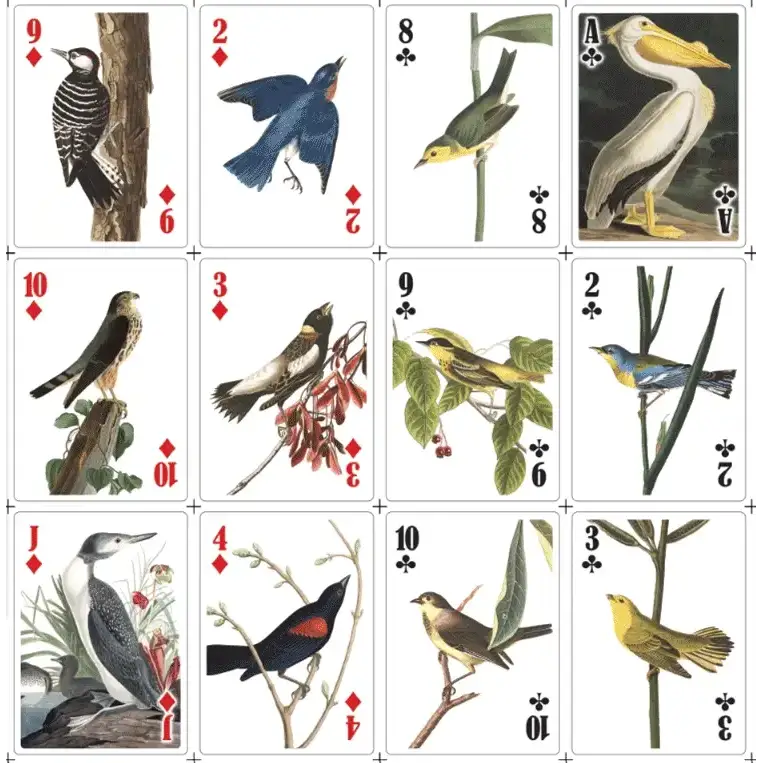 Jeu De Cartes 3d Oiseaux