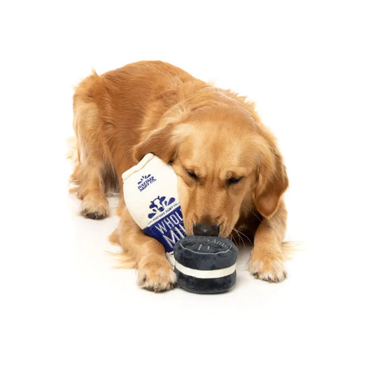 Jouet chien cookie et lait moelleux, texture douce en forme de brique et palet