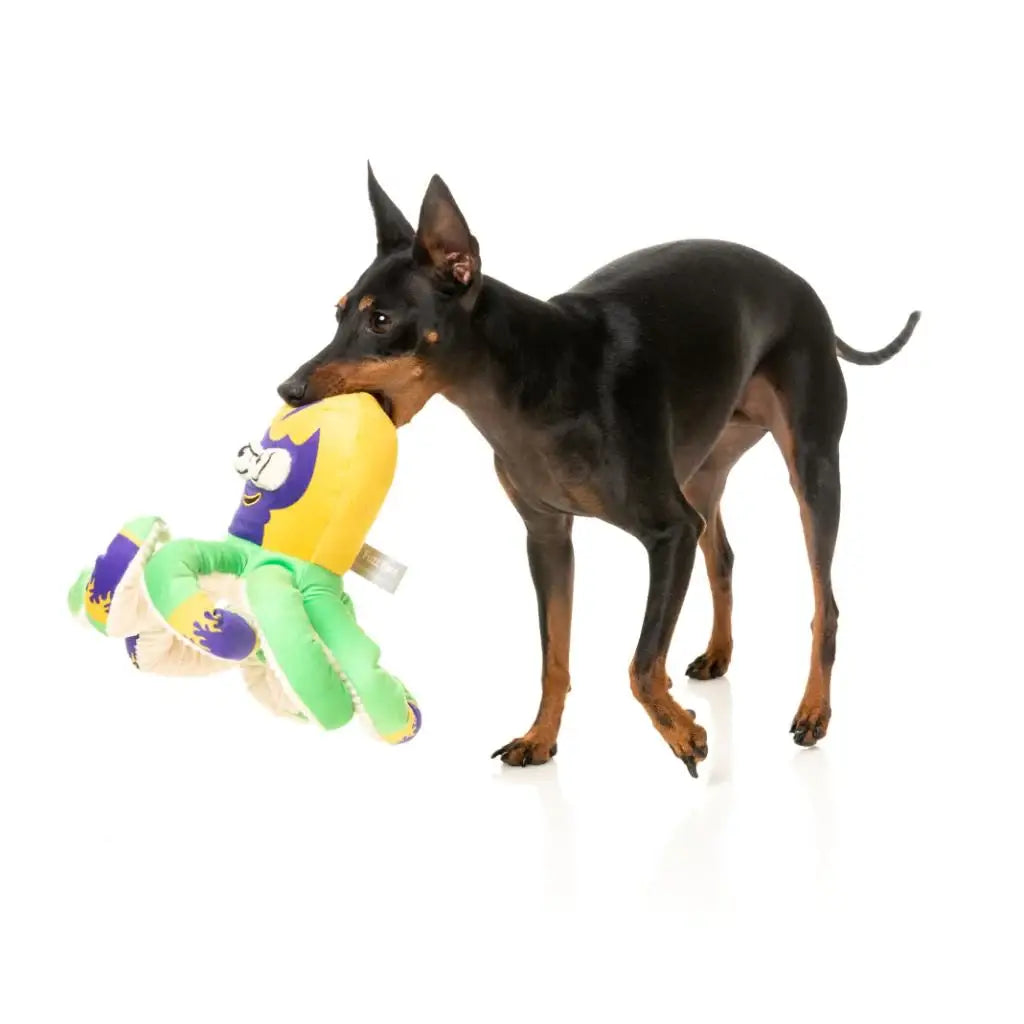 Jouet poulpe catcheur pour chien, octopus coloré encourage l’activité physique