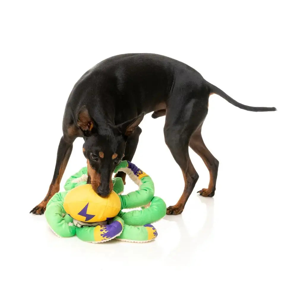 Poulpe catcheur vert et jaune pour chien, encourage l’activité physique