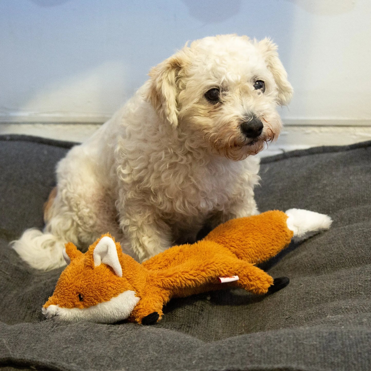 Jouet renard volant orange et blanc en peluche texturée pour chien