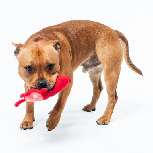 Jouet pour chien saucisson : homard rouge à pois blancs, compagnon heureux sans risque d’ingestion