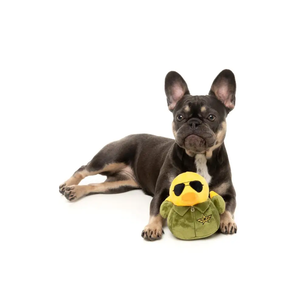 Jouet Pour Chien Canard L