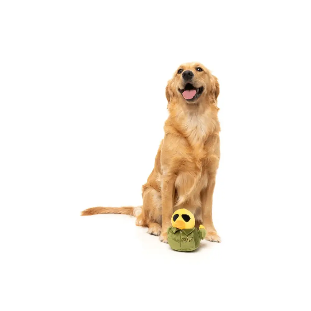 Jouet Pour Chien Canard L