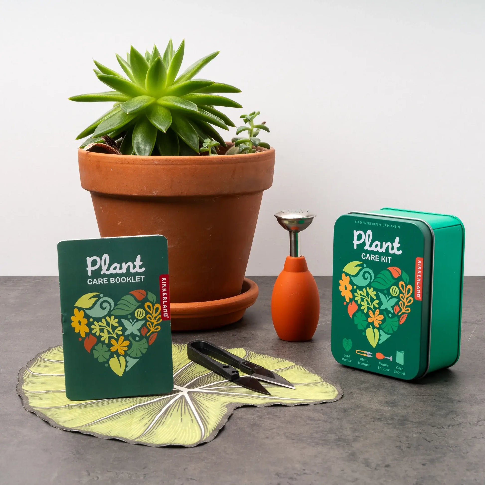 Kit d’entretien pour plantes en métal vert avec illustrations botaniques colorées