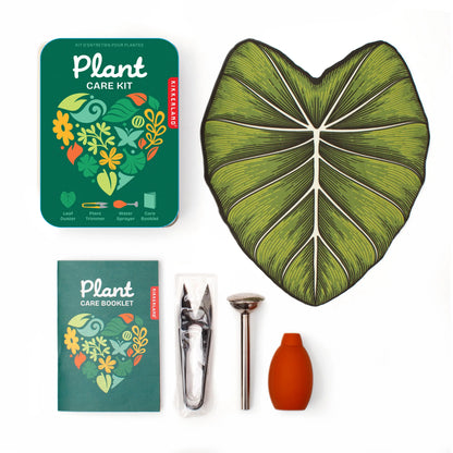Feuille cœur verte découpée avec kit d’entretien rituel apaisant design élégant