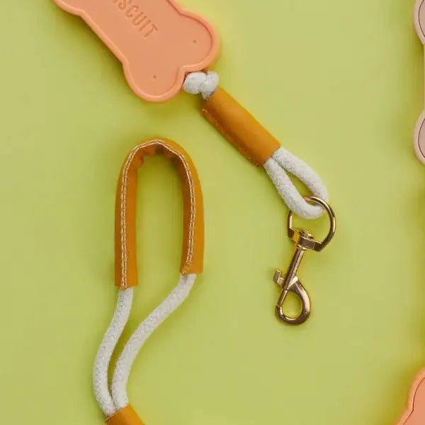 Laisse Chien Biscuit Multicolore 108cm