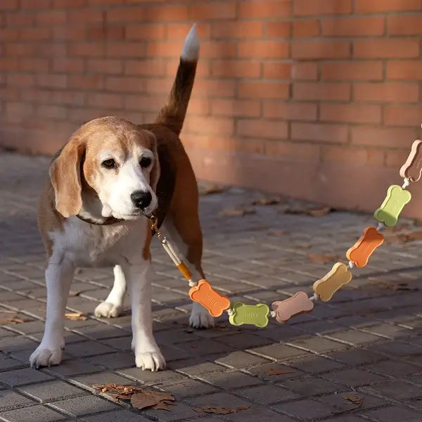 Laisse Chien Biscuit Multicolore 108cm