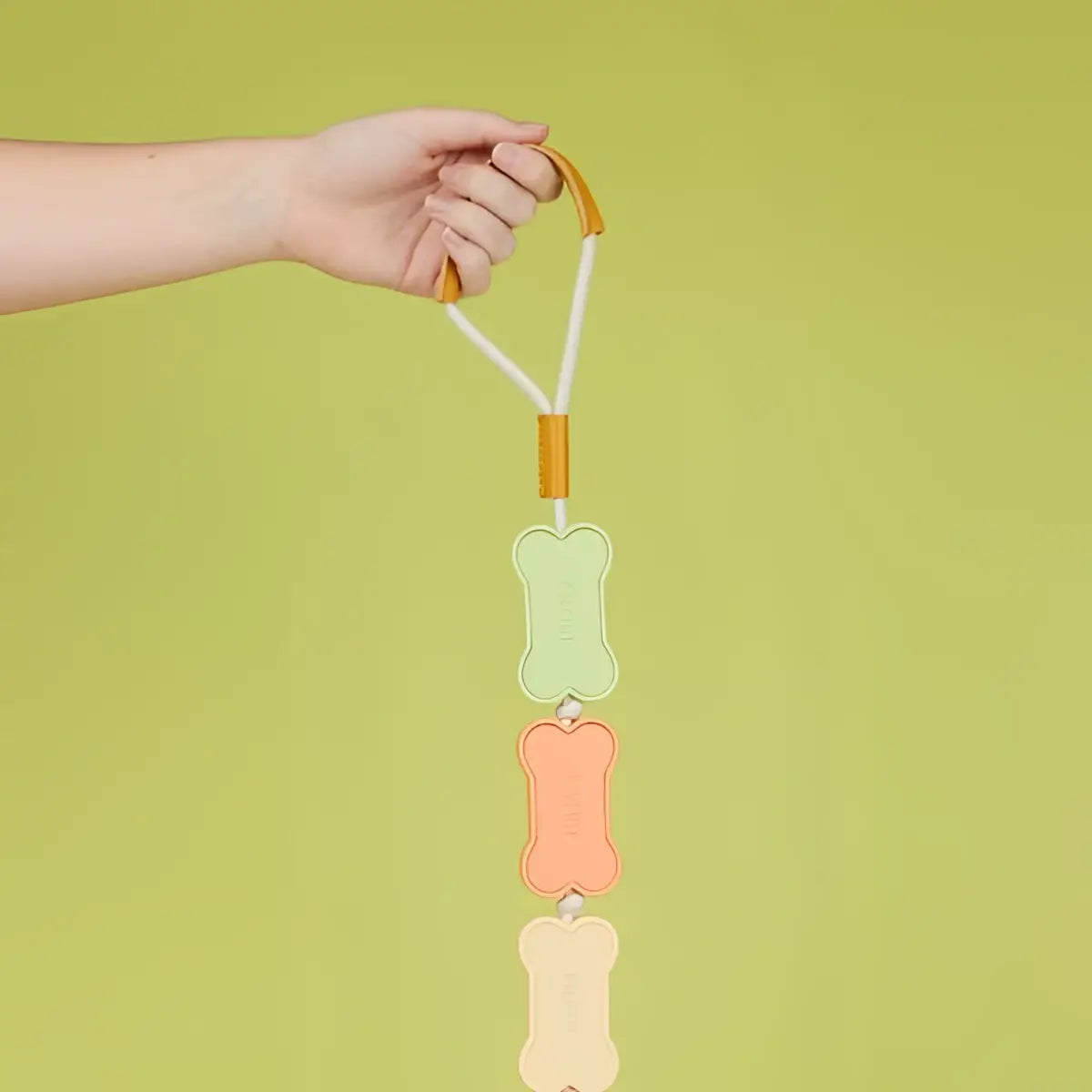 Laisse chien biscuit multicolore 108cm avec os silicone pastel