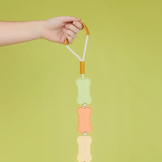 Laisse chien biscuit multicolore 108cm avec os silicone pastel