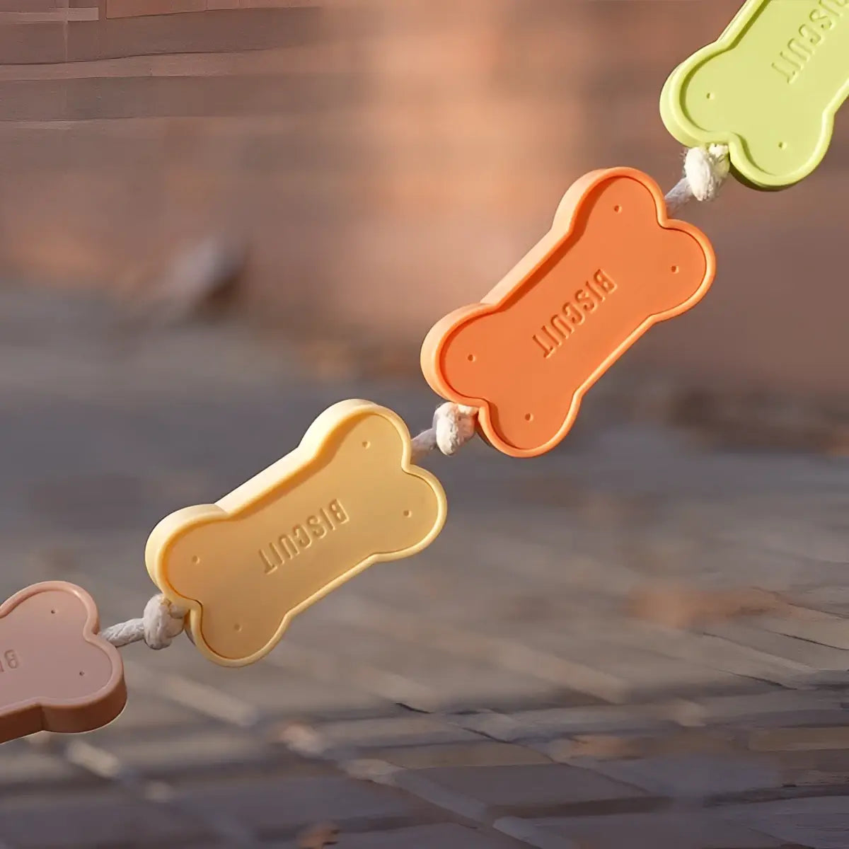 Laisse chien biscuit multicolore 108cm motif biscuit coloré