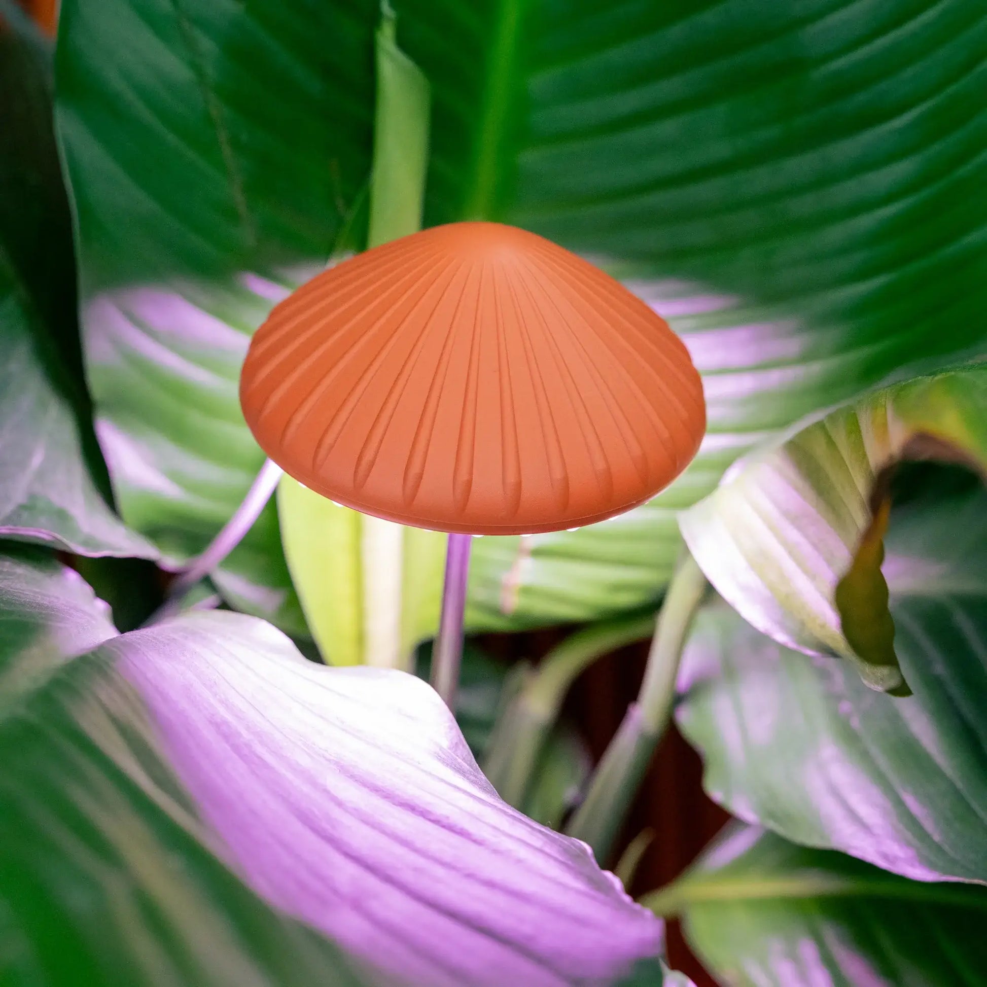 Lampe de culture champignon en terre cuite, forme champignon pour environnement optimal