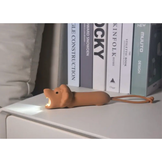 Lampe De Poche Lion Rechargeable