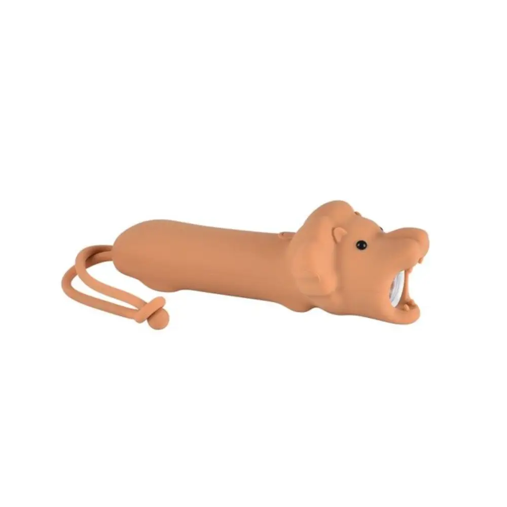 Lampe De Poche Lion Rechargeable