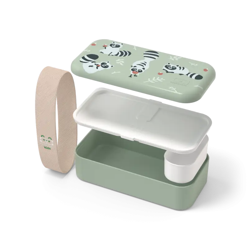 Bento box mint vert en plastique enfant raton laveur avec panda pour repas amusant