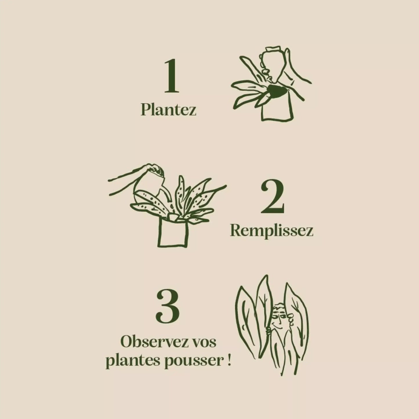Guide illustré minimaliste en 3 étapes pour olla blanche grainée, solution d’arrosage naturelle