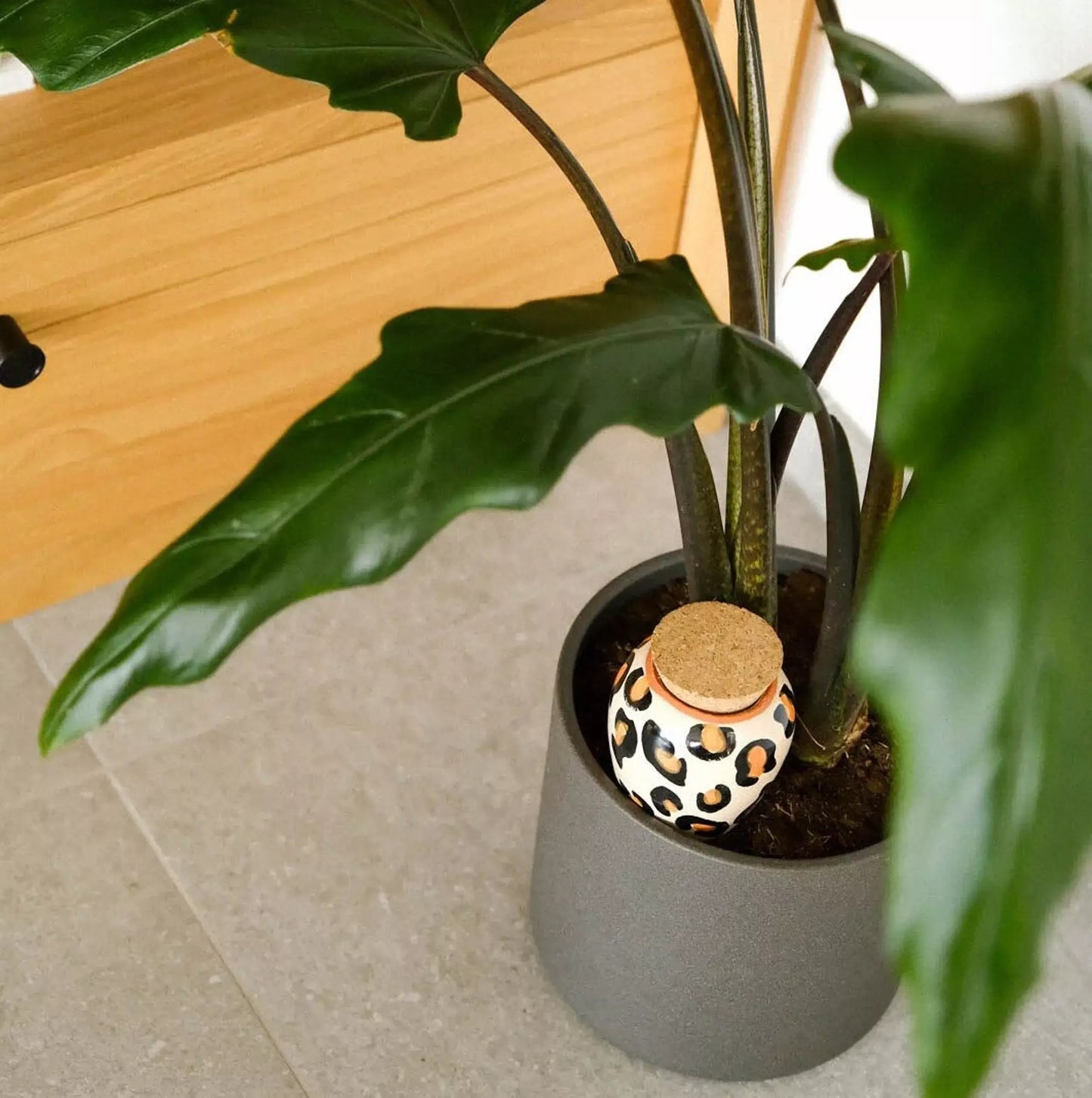 Olla Léopard : hygromètre en céramique blanc léopard pour plantes d’intérieur
