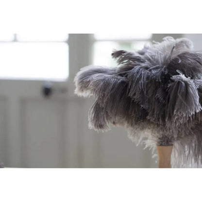 Plumeau à poussière en bois de hêtre 30 cm avec véritables plumes d’autruche naturelles