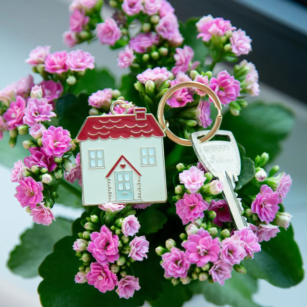 Porte-clés maison mignon en émail avec toit rouge