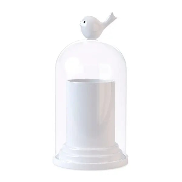 Porte Cure-Dents Ou Coton-Tiges Birdies
