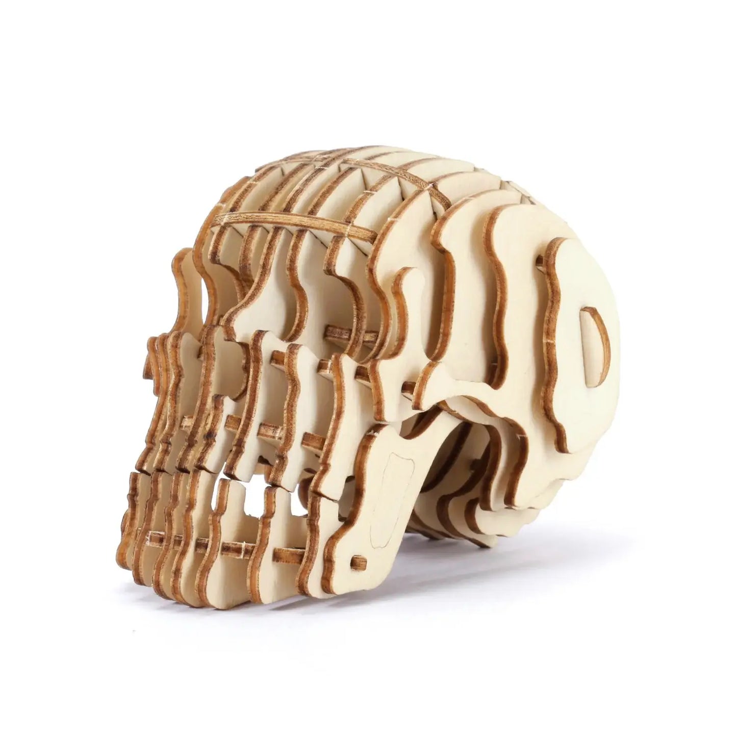 Puzzle 3D bois skull en bois clair à assembler, exposer fièrement