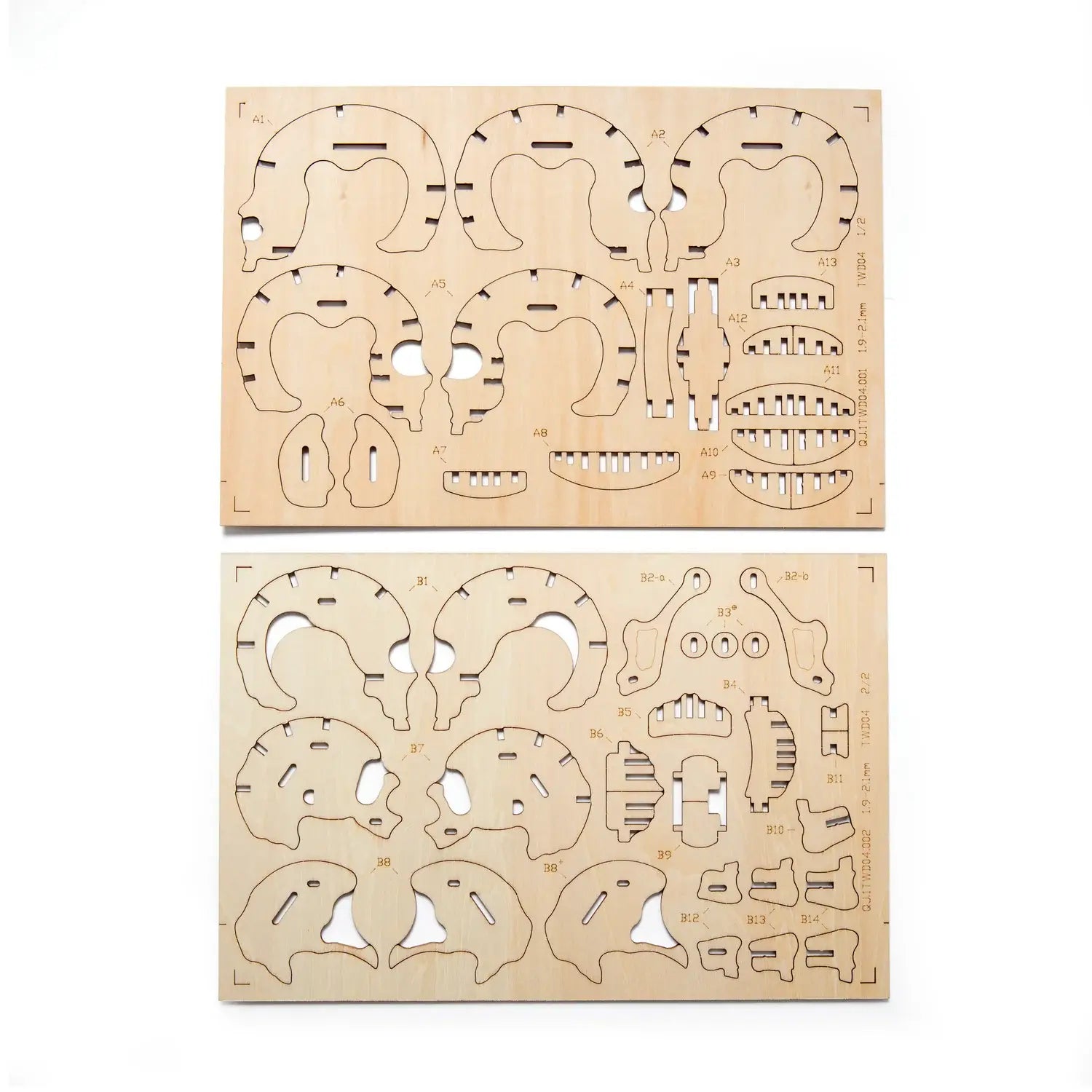 Feuilles de puzzle 3D bois skull aux pièces claires en bois, exposer fièrement