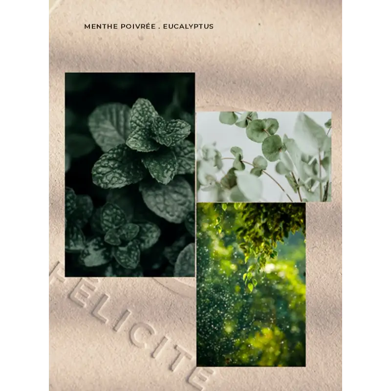 Recharge bougie menthe poivree/eucalyptus 230g
