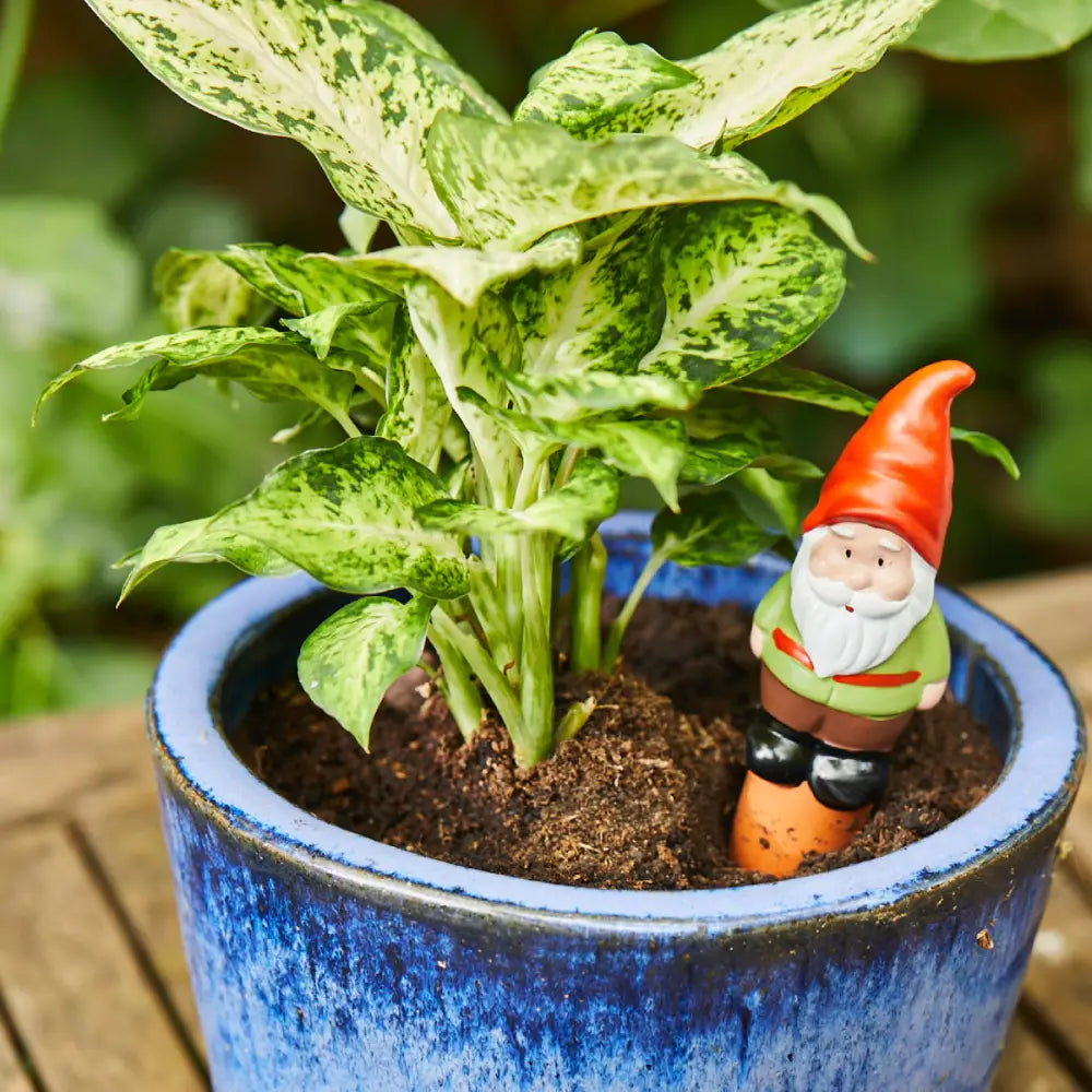 Plante d’intérieur colorée en pot en terre cuite avec nain de jardin, design ludique