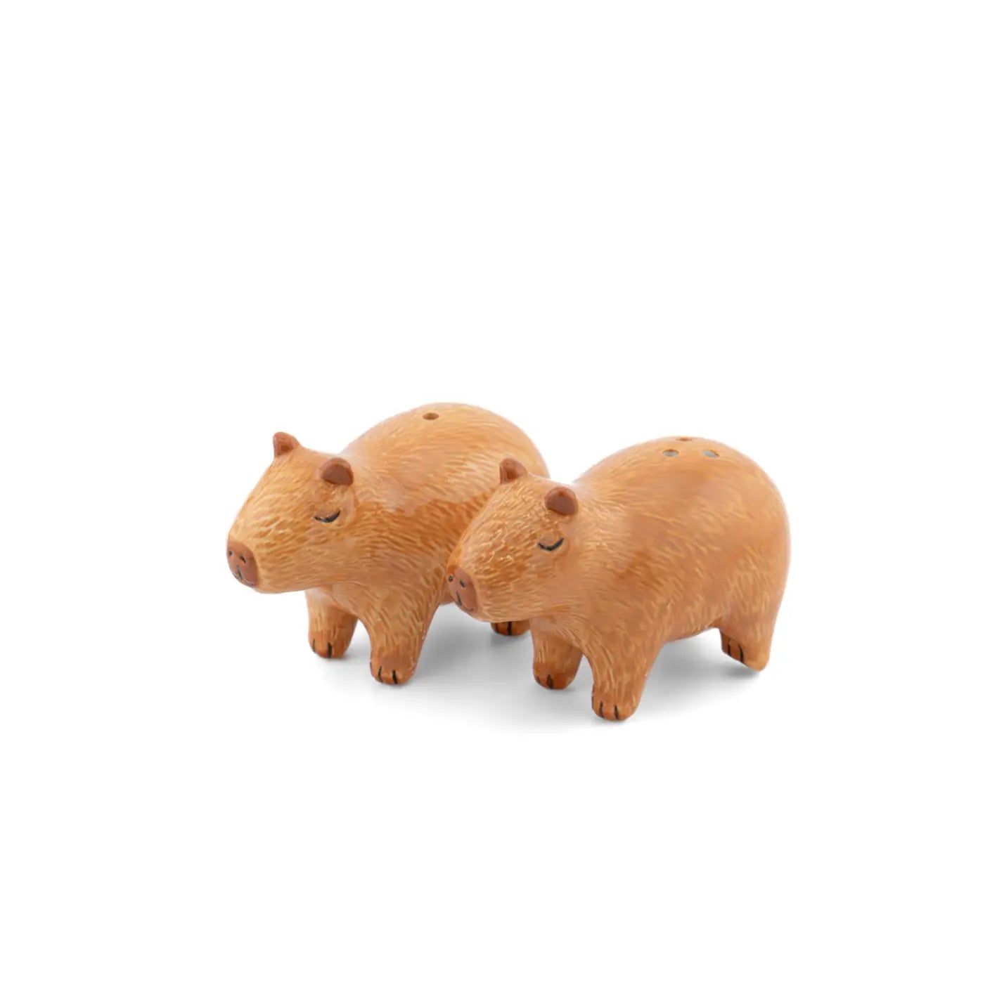 Salière poivrière capybara mignonne, touche exotique ambiance chaleureuse