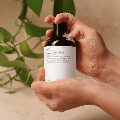 Bouteille de shampoing brillance Superfood Shine eque avec aloe vera pour cheveux secs
