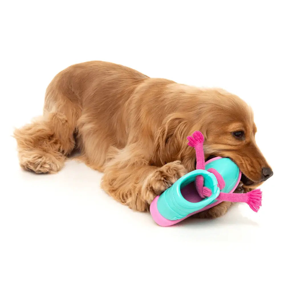 Jouet chien sneaker interactif turquoise rose avec semelle rainurée