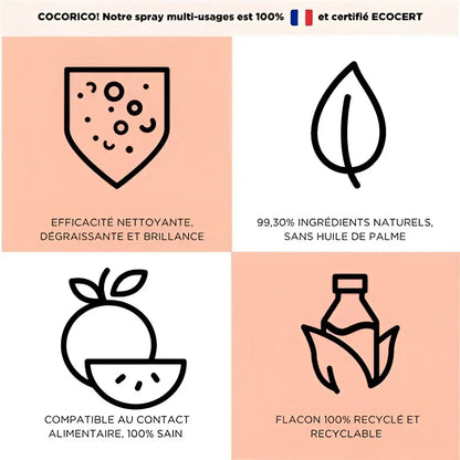 Spray nettoyant multi surfaces orange basilic 500ml, efficace, naturel, écolo, sans danger pour la nourriture