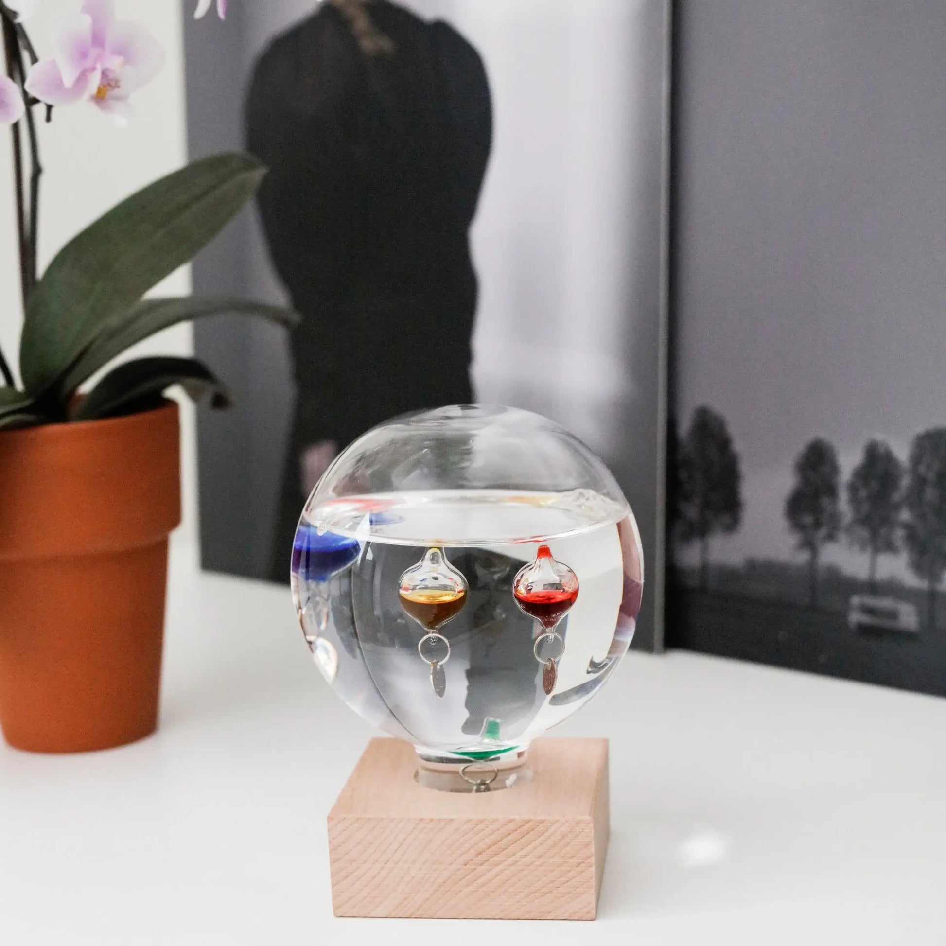 Thermomètre Galilée en verre clair sur base bois noble, invitation à ralentir
