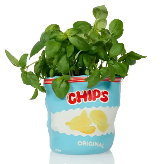 Vase bol avec basil vert dans un bol paquet de chips, touche d’humour fun